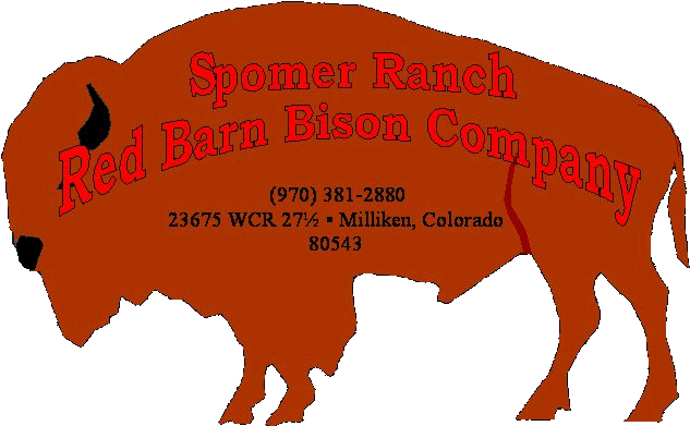 Bison (686x418)
