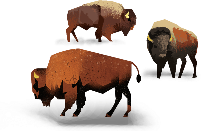 Ecosystem Engineers - Bull (1000x583)