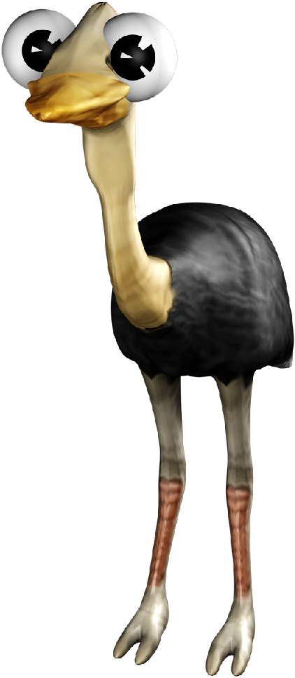 Ostrich - Wix.com (1024x1024)