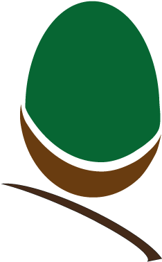 Illustration (400x400)