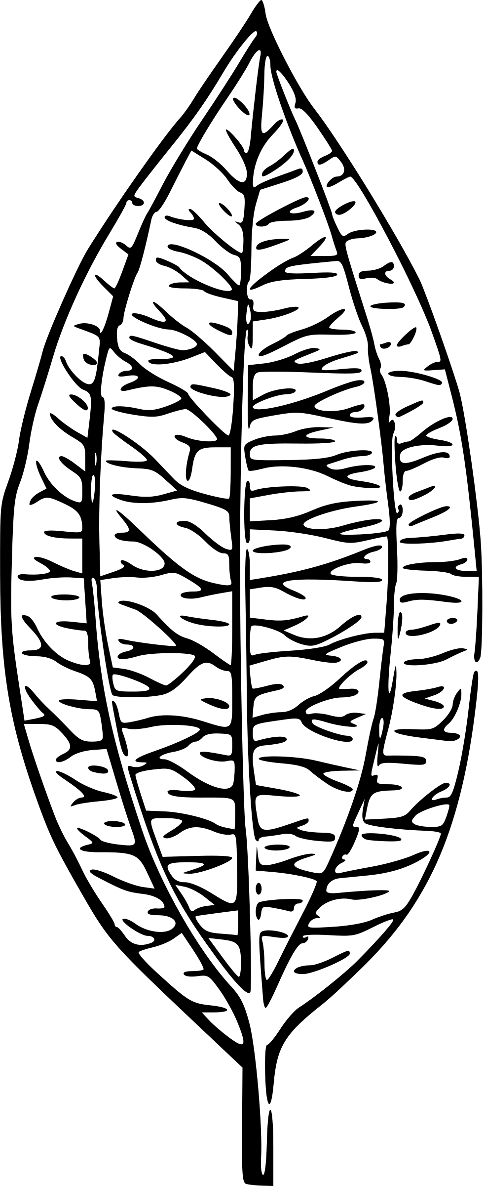 Big Image - Big Image (983x2400)