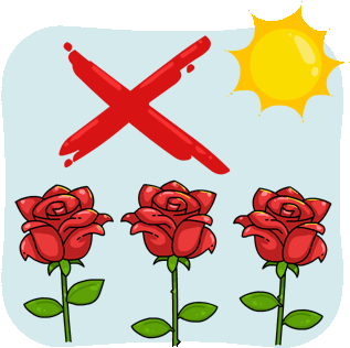 Keep Away From Direct Sunlight - Sunlight (350x353)