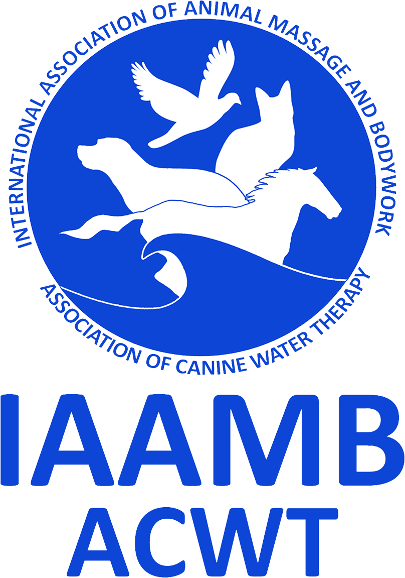 Iaambacwt Circle Logo With Text Blue On Trans - Headwork (1250x1250)