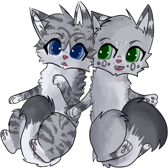 Warrior Cats Ivypool And - Dovewing (800x600)