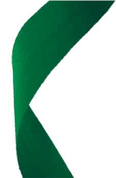 Green Woven Ribbon - Flag (464x348)