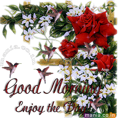 Good Morning Enjoy Your Day - Christmas And New Year Greetings (376x376)