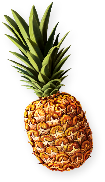 Read More - Pineapple (344x592)