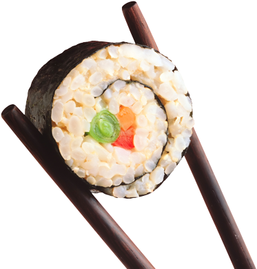 Sushi (500x442)