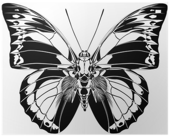 Papilio (400x400)