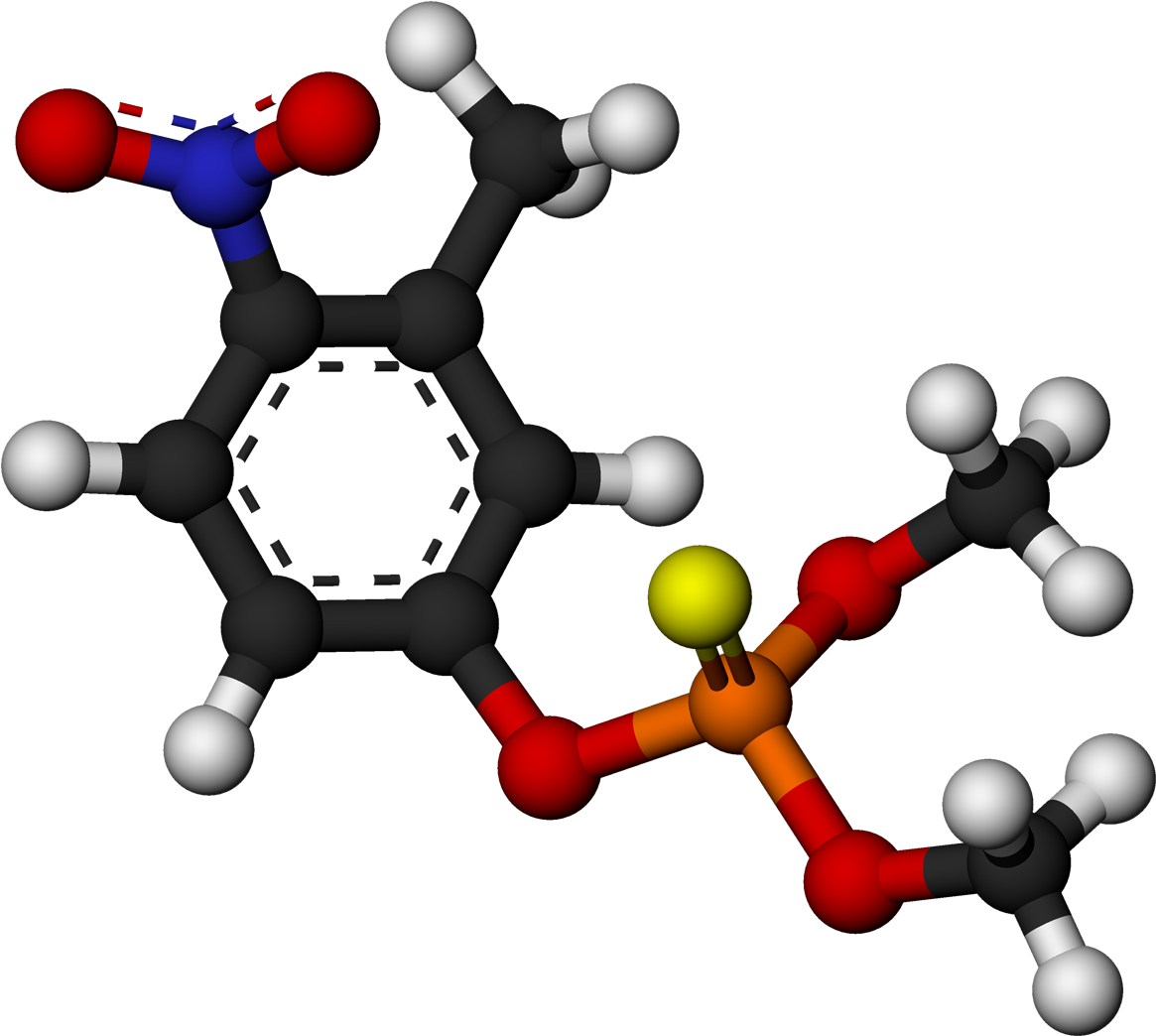 Fenitrotion (1200x1079)