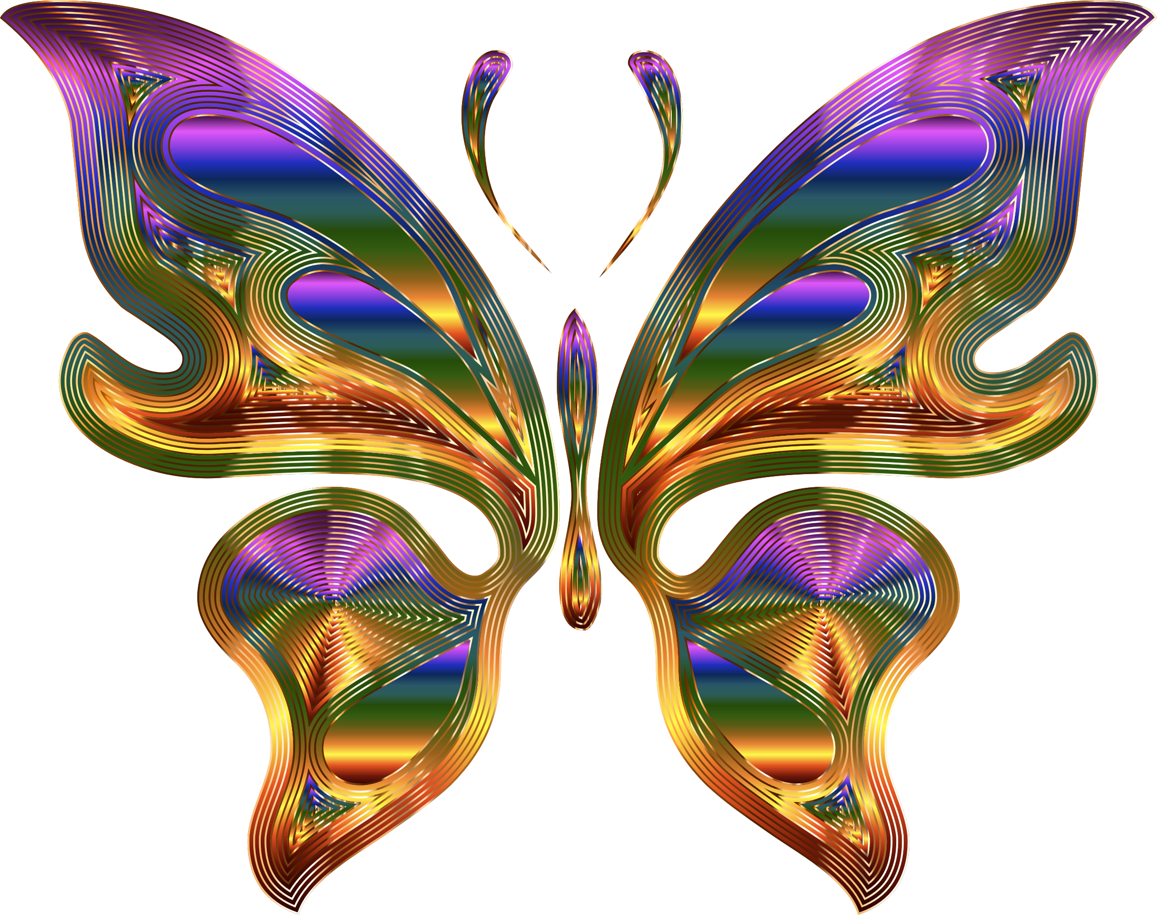 Butterfly 9 Variation 3 - Insect (2294x1814)