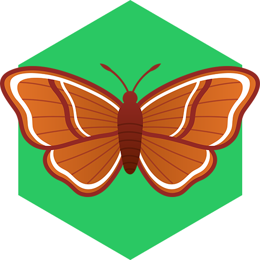 Riodinidae (512x512)