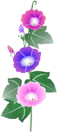 夏のイラスト素材 無料テンプレート 朝顔 - Summer (300x450)
