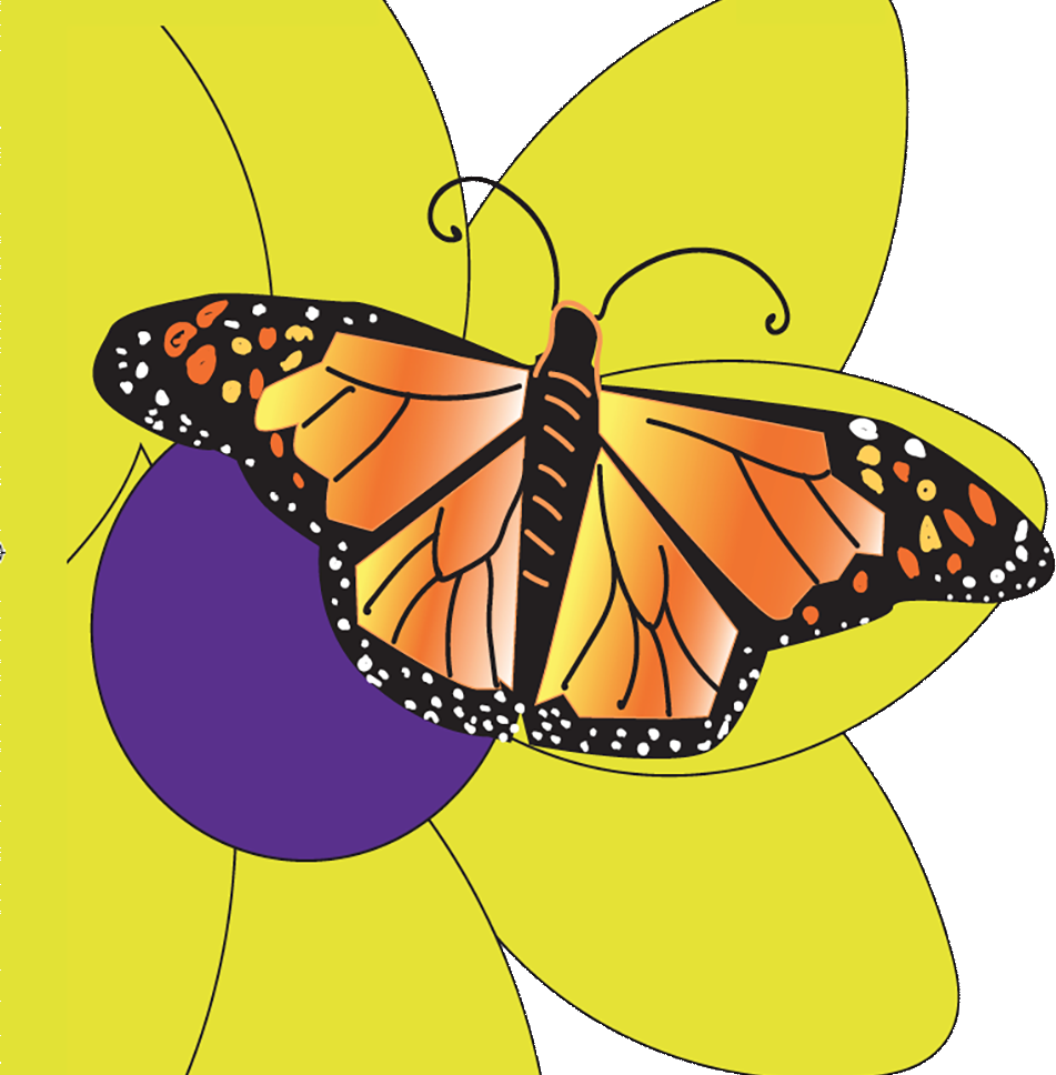 Butterfly - Butterfly (951x968)