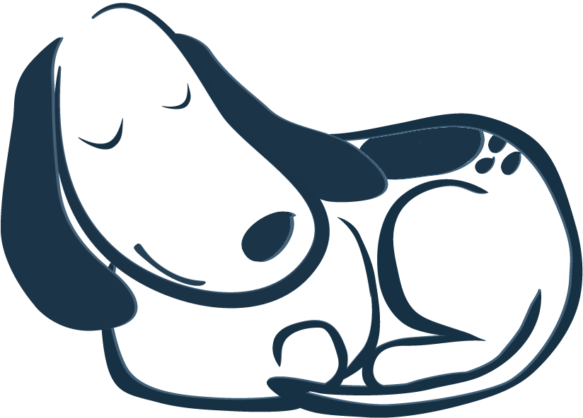 Overnight Pet Sitting - Login (895x616)