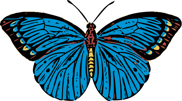 Click The Butterfly To Enter < - Bee (730x404)