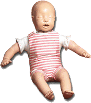 Transparent Anatomical Manikin (400x400)