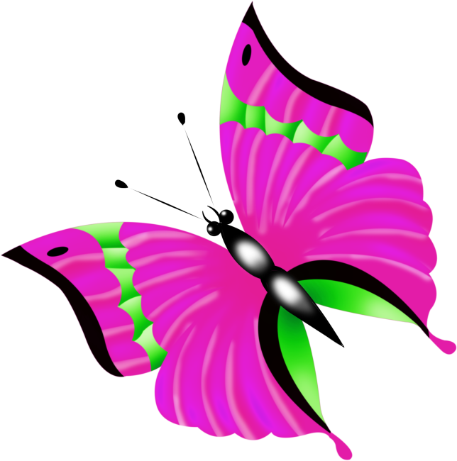 Красочные Бабочки - Clipart Butterflyes (670x672)