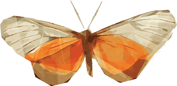 Fluent - Brush-footed Butterfly (598x316)