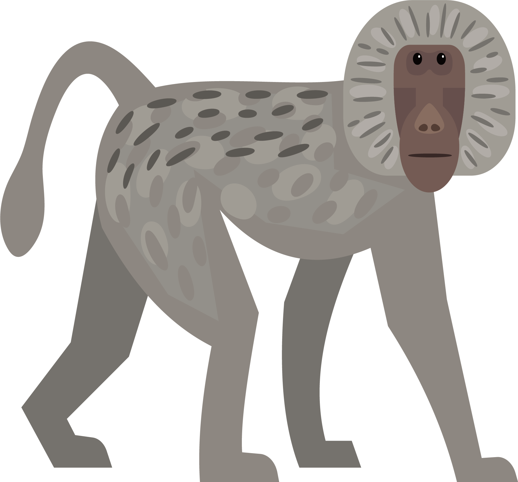 Euclidean Vector Monkey - Euclidean Vector (1814x1687)