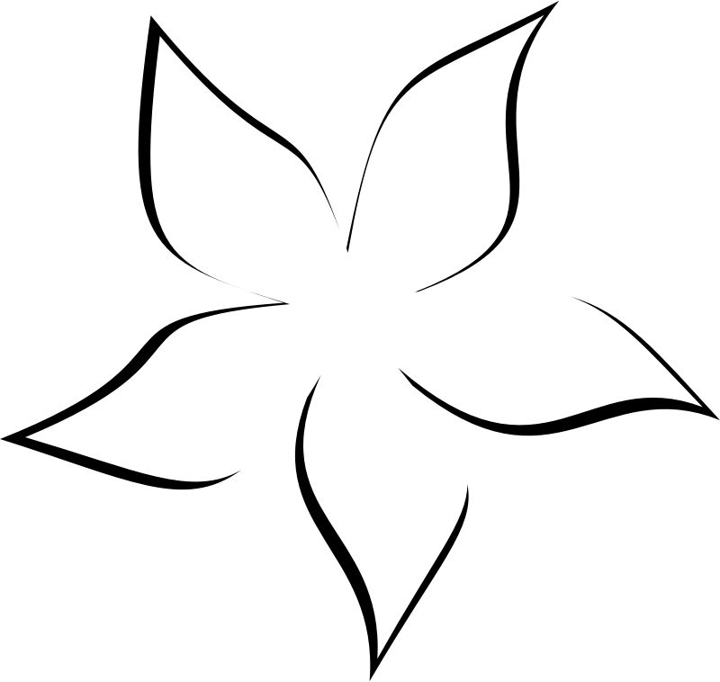 Medium Image - Line Art (800x758)
