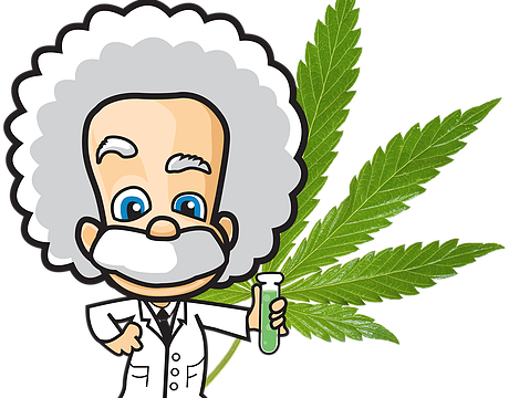 About Us - Einstein Png (460x360)