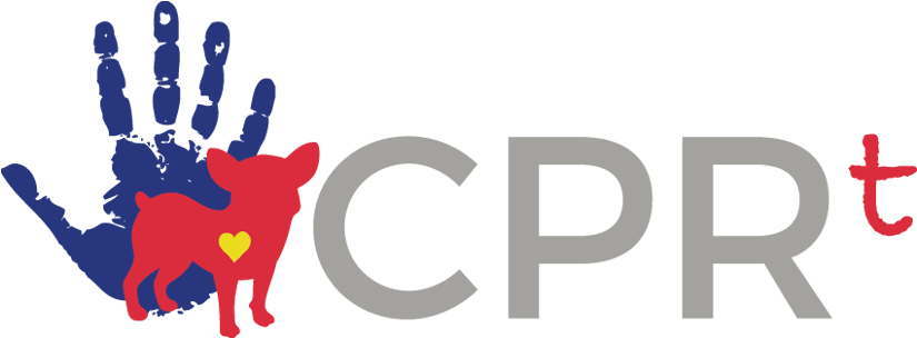 Graphic Design (850x313)