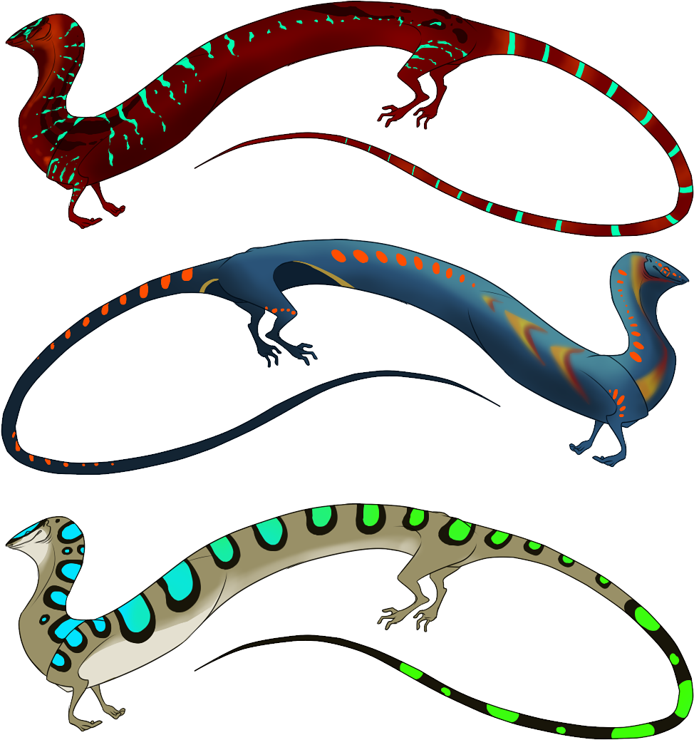 Seedot Evolution Chart - Crocodile (1000x1200)