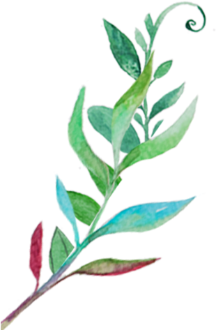 Russian Olive (318x490)