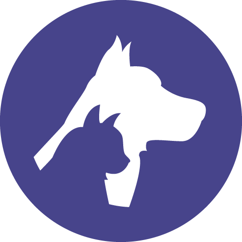Dog (493x493)