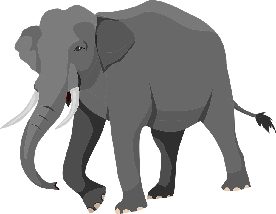 Elephant Graphic - Elephant Vector Png (926x720)