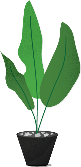 Let's Connect - Houseplant (335x559)