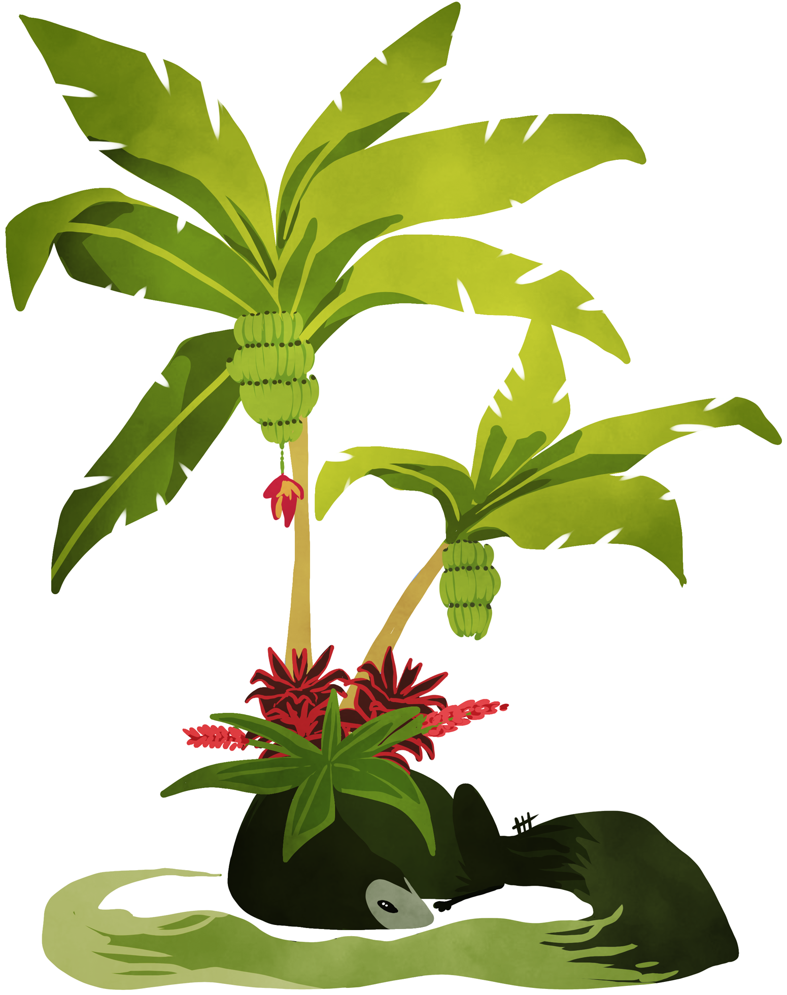 Plant - Plant (1570x1970)