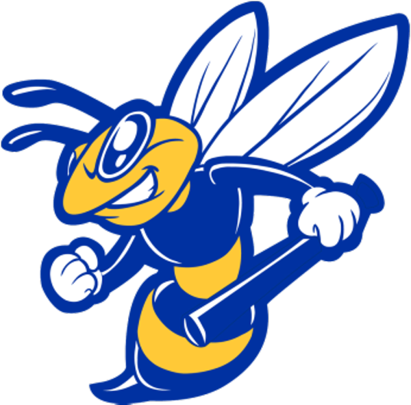 Bees Baseball (600x591)