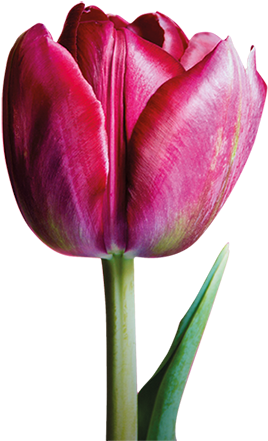 Unna (283x450)