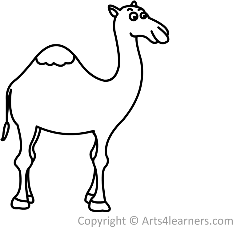 How To Draw A Camel Easy Step By Step - Drawing (1024x768)