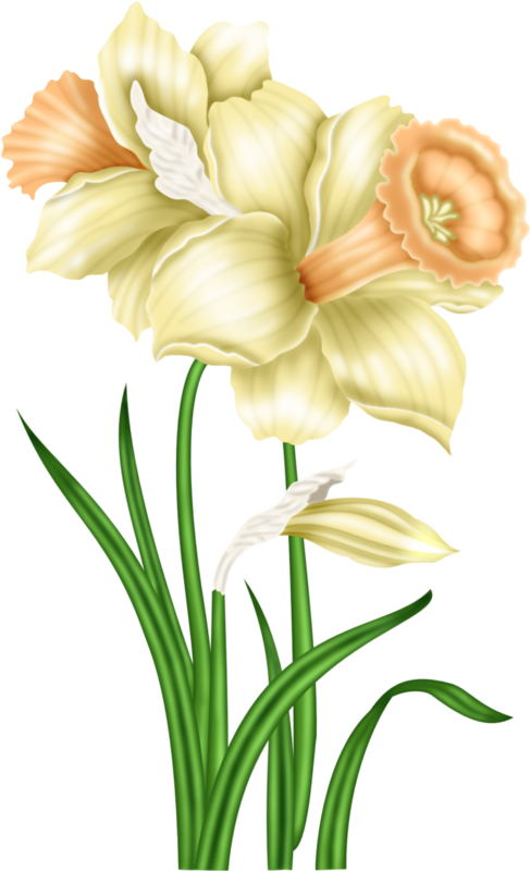 Lily (731x1200)