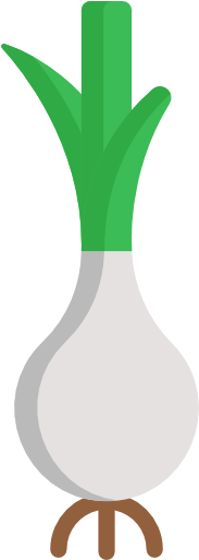 Garlic Free Icon - Illustration (512x512)