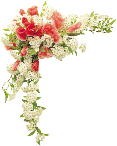 Transparency Flower Border Designs (600x655)
