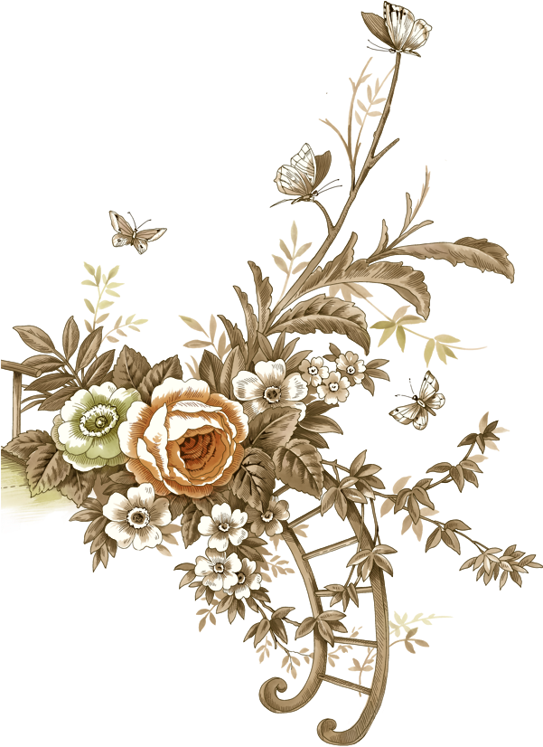 Laminas Para Decoupage 3 - Клипарт На Прозрачном Фоне Винтаж (600x840)