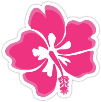 Hibiscus - Laptop (375x360)