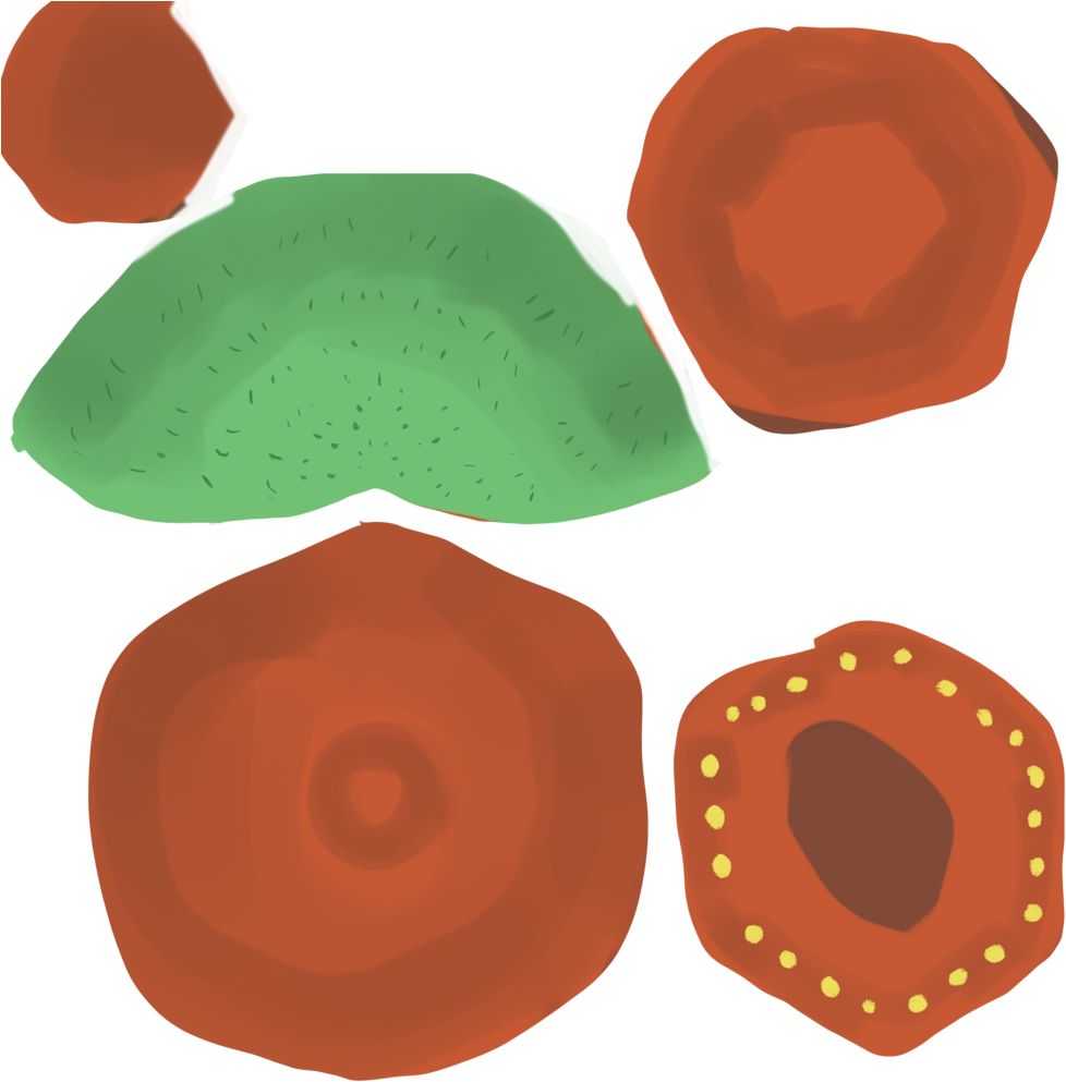 Cactus Texture - Art (1000x1000)