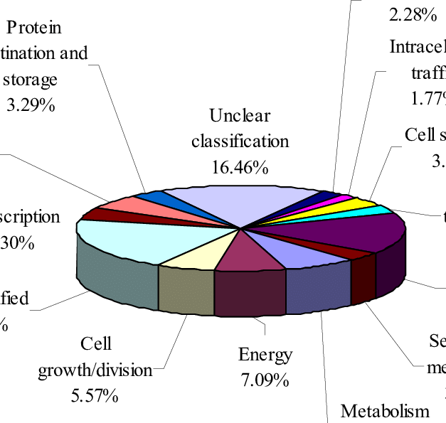 Diagram (627x595)