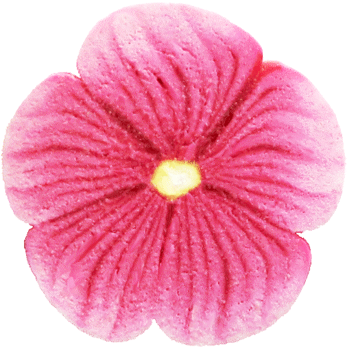 Flowers Gif Without Background (545x556)