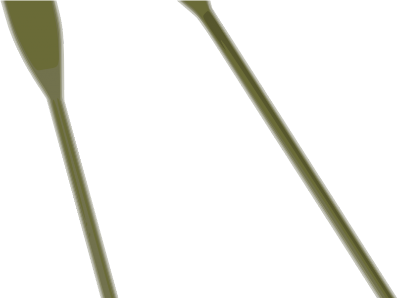 Plant (1024x600)