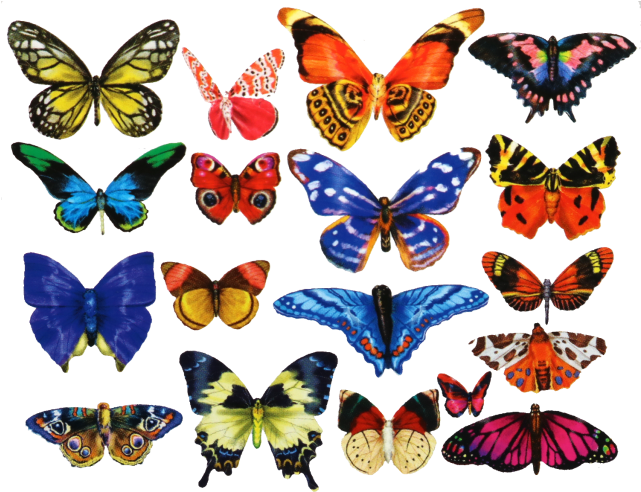 18 Mini Shaped Puzzles - Lafayette Puzzle Factory Mini Shaped Butterflies Puzzle (640x640)