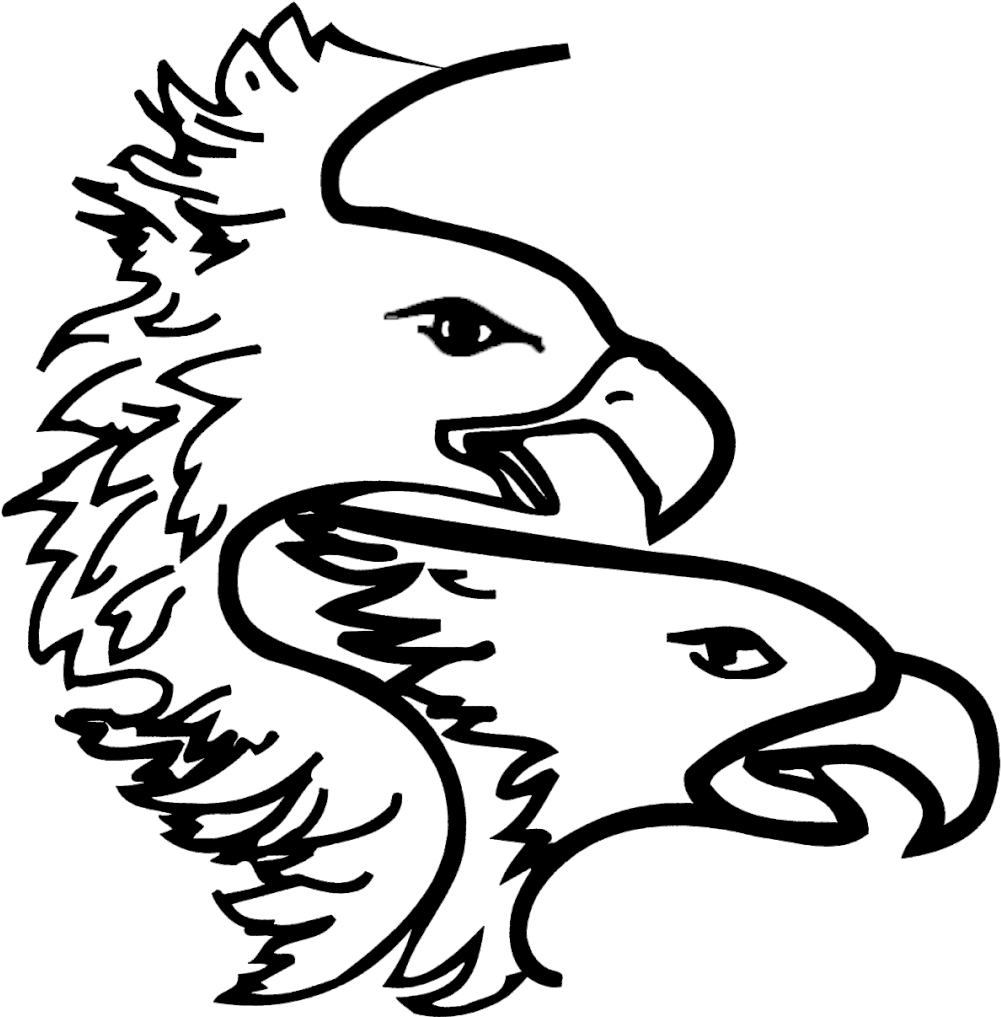 Bald Eagle White Transparent Background (1011x1024)