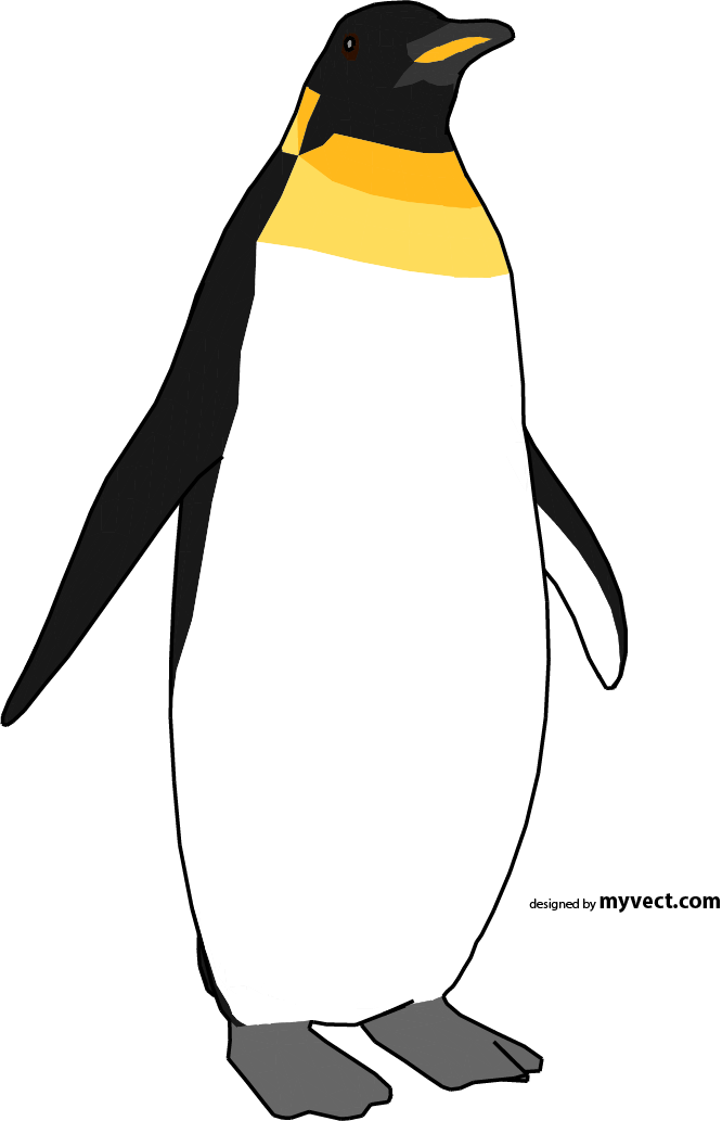 Penguin Vector - King Penguin (666x1033)