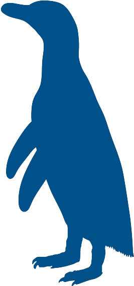 Vector, Penguin - Vector, Penguin (1000x568)