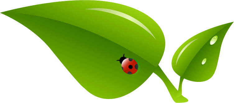 Pre-k - Ladybug (753x332)